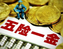五险一金怎么交,全面解析缴费流程与标准