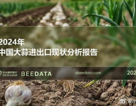 国际贸易大蒜网,价格波动、产区行情及未来趋势分析”