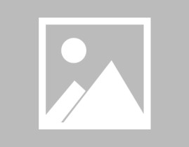 翟东升武汉大学举办区域国别学科建设与交叉复合型人才培养研讨会