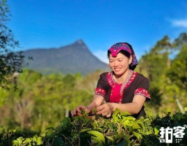 南海网AI视频 今日芒种愿你光“芒”万丈不负“种”望